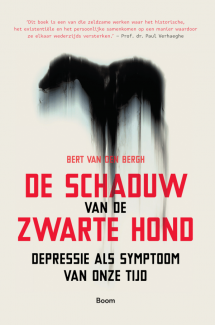 De schaduw van de zwarte hond